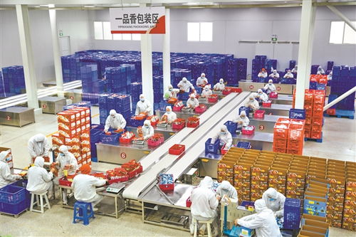 优势再造动能足 晋中市加快传统产业转型升级塑造发展新优势观察