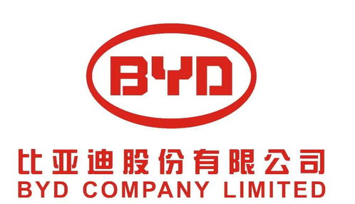 惠州比亚迪电子