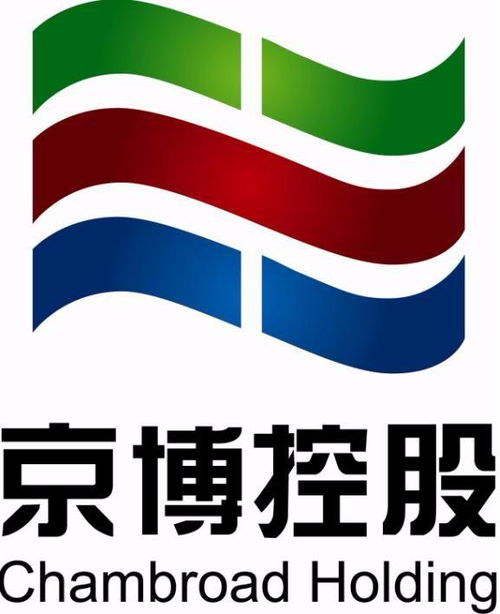 山东京博控股集团