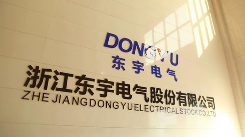 浙江东宇电气股份
