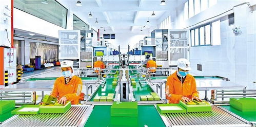 深圳罗湖双轮驱动建设 服务强区