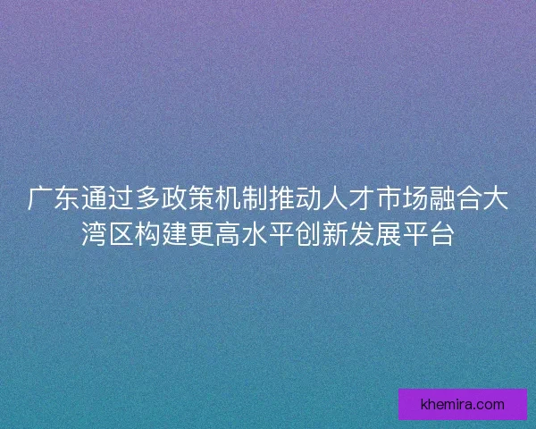 广东通过多政策机制推动人才市场融合大湾区构建更高水平创新发展平台