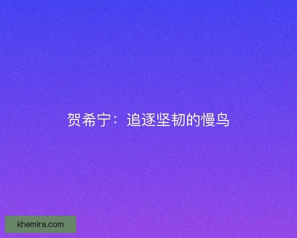 贺希宁：追逐坚韧的慢鸟